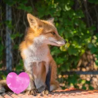 サムネイル1
