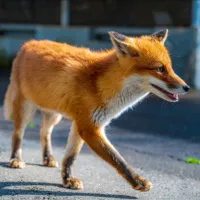 サムネイル7