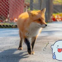 サムネイル15